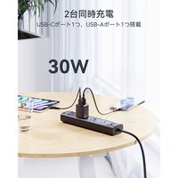 VOLTME USB充電器 30W TypeC+15W TypeA 折りたたみ式 V2097 1個