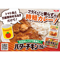 バターチキンカレー 中辛 （2皿分×4袋） 1個 パウダールウ カレールウ エスビー食品 S＆B