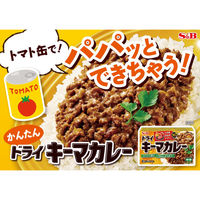 ドライキーマカレー 中辛 （2皿分×4袋） 1個 パウダールウ カレールウ エスビー食品 S＆B
