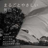 ランドリーリキッド ウルトラパワー 925mL 1個 衣料用洗剤 エコストア ジャパン