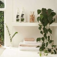 エコストア ランドリーコンセントレートポンプ ユーカリ 480mL 1個 衣料用洗剤 エコストアジャパン