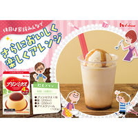 プリンミクス 1セット（1箱×3） ハウス食品 製菓材 手作りお菓子