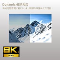 エレコム HDMIケーブル 5m HDMI2.1 ウルトラハイスピード 8K対応 黒 DH-HD21E50BK2 1本（直送品）