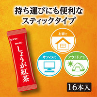 meito しょうが紅茶 1セット（1箱（16本入）×3） インスタント紅茶 高知県産しょうが使用 はちみつ入り ノンカフェイン