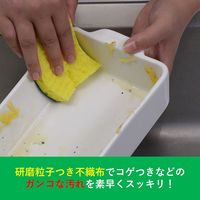 スリーエム（3M）スコッチブライト セルローススポンジたわし キッチン 食器洗い C-31S 2PM（2個入）