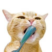 キャティーマン 猫ちゃん歯ブラシ かみかみ歯ピカ 2個入 1個 ドギーマンハヤシ 猫用 おもちゃ