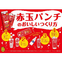サントリー ソーダでおいしい赤玉パンチ 500ml 紙パック 1セット（1本×12）  赤ワイン
