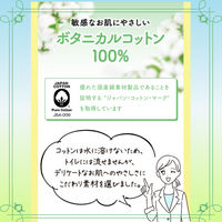 オーカ デリケートウェットコットンシート 15枚入 1セット（1個×2）大一紙工