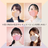 錦尚金 BRILLIANTMAKEUP MASK 3D立体型00 28枚 4582559942940 1箱(40個入)（直送品）