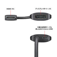 サンワサプライ HDMI-DisplayPort変換アダプタ(4K/60Hz) AD-HD31DP 1個（直送品）