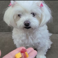 ペティオ 素材そのまま 生後3ヶ月からのさつまいも 角切りやわらか2層仕立て 60g 1袋 犬用 おやつ