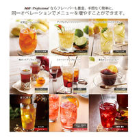 AGF プロフェッショナル アップルティー 1L用 インスタント 冷水可 1セット（1箱（10本入）×3）