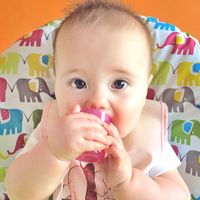 BABY CUP（ベビーカップ）ファーストカップ マルチカラー 1個（4個入）エデュテ