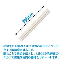 ゴン太の歯磨き専用ガム L8020乳酸菌入り SSサイズ 低脂肪 国産 120g 1セット（1袋×6）マルカン 犬用 おやつ