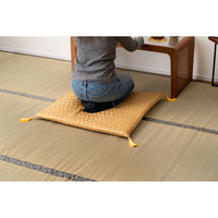 東谷 ROOM ESSENCE 座布団 幅700×奥行700mm ゴールド BC-114FGD 1枚（直送品）