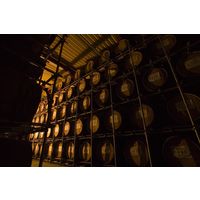 壱岐っ娘 パック 25度 1.8L 1本 麦焼酎 壱岐の蔵酒造