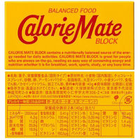 カロリーメイトブロック　2本入り　5種セット（バニラ・メープル・チーズ・チョコレート・フルーツ）1箱2本入×各20箱　大塚製薬