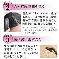 テンスター ヘナカラートリートメント ダークグレージュ 250g 三宝 白髪染め