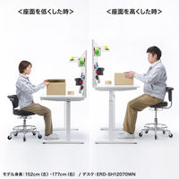 サンワサプライ 作業用ワークスツール 幅495×奥行495×高さ710～840mm ブラック SNC-RD10VBK 1脚（直送品）