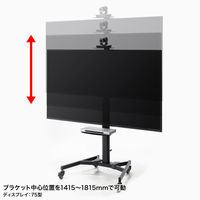 サンワサプライ 手動上下昇降テレビスタンド カメラ台・大型キャスター付 ブラック CR-PL61BK 1台（直送品）