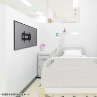 サンワサプライ 壁面固定式ディスプレイ金具 43型まで対応 幅350×奥行51×高さ286mm ブラック CR-PLKG17BK 1台（直送品）