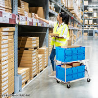 サンワサプライ 折りたたみコンテナ 75リットル CNT-75BL 1個