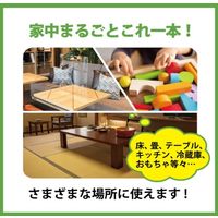 リンレイ 天然由来の成分だけを使ったエコクリーナー 500ml 1セット（1個×3）