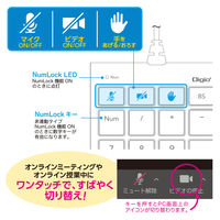 ナカバヤシ Zoom対応USB有線テンキー/ブラック TNK-SU239BK 1個