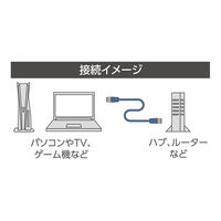 ナカバヤシ カテゴリー6A LANケーブル ブラック 10m C6A-10BK 1本