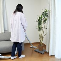 山善(YAMAZEN)　連結できる平台車 超薄型 ハンドル付き スレスレキャリー グレー　YSS-38(GY)　1台