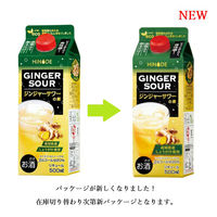 HiNODE ジンジャーサワーの素 20度 500ml 1本 しょうが 生姜 ジンジャー 国産素材 高知県産 約10杯分