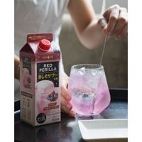 HiNODE 赤しそサワーの素 20度 500ml 1本 赤しそ 赤紫蘇 バイスサワー 国産素材 熊本県産 約10杯分