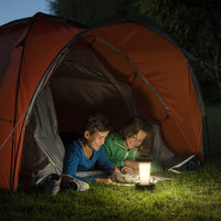 LEDランタン アウトドアライト DSK260 1台