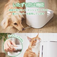 自動給餌器 猫 中小型犬 4L 1匹用 録音可 タイマー式 1日6食 丸洗い可能 ホワイト PET-AF03WH エレコム 1個（直送品）