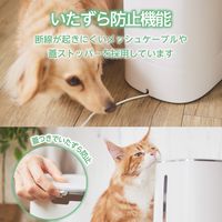 自動給餌器 猫 中小型犬 4L 2匹用 録音可 タイマー式 1日6食 丸洗い可能 ホワイト PET-AF04WH エレコム 1個（直送品）