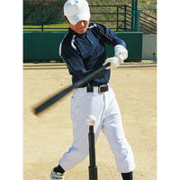 UNIX(ユニックス) 野球 ソフトボール 練習 重打撃ボール Hit-Punch300g ホワイト BX7701 1セット（4球）（直送品）