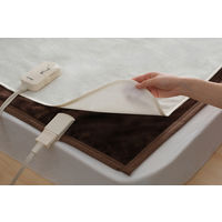 アイリスオーヤマ 洗える防水シーツ 繰り返し使える 抗菌 防臭 防ダニ 耐熱  吸水シート 介護 病院 保育園 90×140cm Mサイズ BSH-9M 1枚