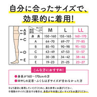 レキットベンキーザー・ジャパン メディキュットボディシェイプ 寝ながらスパッツ 骨盤 LL 891337 1ケース(48個)（直送品）