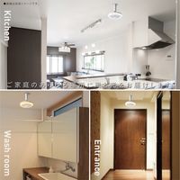 ドウシシャ サーキュライト E26ソケットモデル メガシリーズ 調色 KSLS10MC（WH） 1台