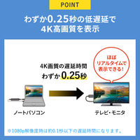 サンワサプライ 4K対応ワイヤレスHDMIエクステンダー(送信機のみ) VGA-EXWHD12TX 1個（直送品）