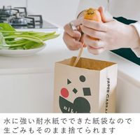 &NE nikii シンクペーパーバッグ 水切りゴミ袋 自立して三角コーナーいらず 紙製 30枚入 1個 日本製 エヌ・エレファント