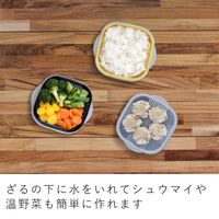 &NE 冷凍ご飯もふっくら解凍 Refura（レフラ）保存容器 3色セット 1個 電子レンジ可 エヌ・エレファント