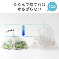 【紙パック】【アスクル・ロハコ限定】伊藤園 香り豊かなお茶 250ml 1セット（48本）緑茶 オリジナル