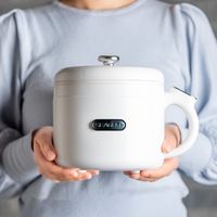 マリン商事 プライベート調理 マイクック KI-30137 1台（直送品）