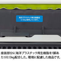 アイリスチトセ ループスタッキングチェア ネイビー ASLN-W-V ホワイト/ネイビー 椅子 ミーティングチェア 1脚 オリジナル