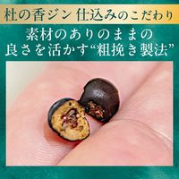 チューハイ キリン Premium ジンソーダ 杜の香 缶 350ml 2ケース（48本）