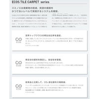 スミノエ ECOS ホームタイルカーペット R-1008 4955141383689 1枚