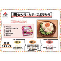 北海道乳業  [冷蔵] 北海道乳業 Primar クリームチーズ&明太子 100g×4箱 4976750572165 1セット(4箱)（直送品）