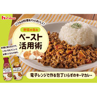 濃い飴色の炒め玉ねぎ 160g 1本 ハウス食品 たまねぎ タマネギ