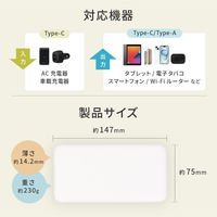 オウルテック ポケットサイズ薄型モバイルバッテリー 10000mAh ブラック OWL-LPB10013-BK 1個